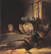 REMBRANDT Harmenszoon van Rijn Still life with two dead Peacocks and a Girl (mk33) Sweden oil painting artist